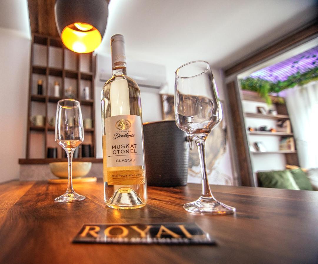 Royal Luxury Apartment Vrsac Luaran gambar