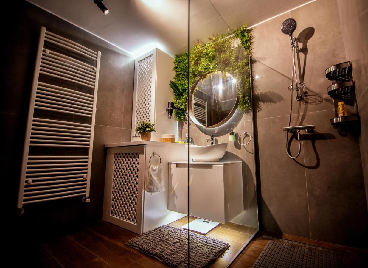 Royal Luxury Apartment Vrsac Luaran gambar