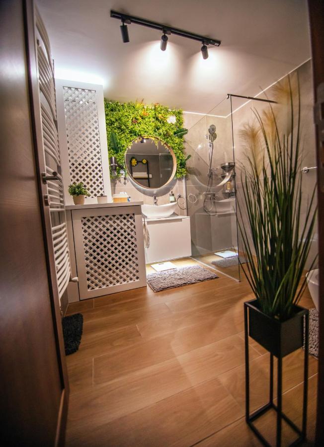 Royal Luxury Apartment Vrsac Luaran gambar